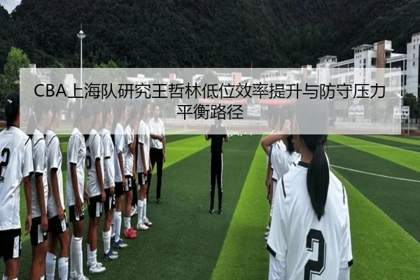 CBA上海队研究王哲林低位效率提升与防守压力平衡路径